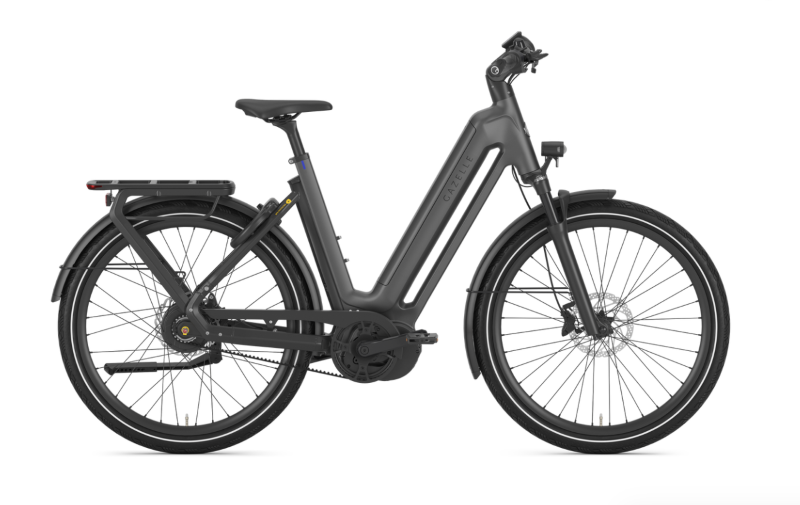 Gazelle Eclipse C380 HMB - Verkrijgbaar bij Aerts Action Bikes in Kalmthout